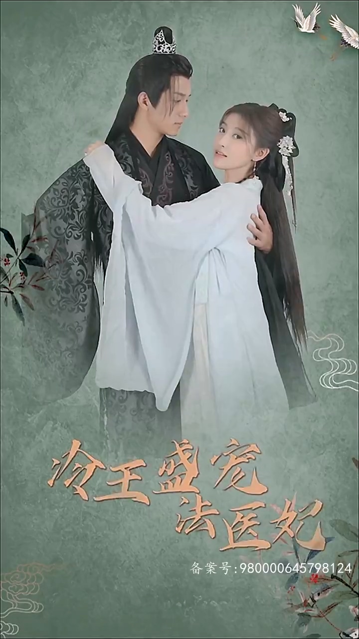 凤还巢：冷王盛宠法医妃 第29集