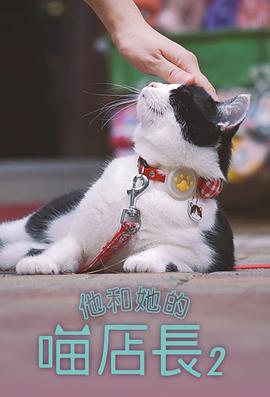 他和她的喵店长2 第04集
