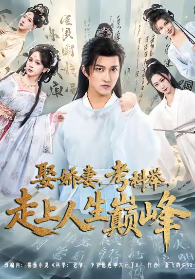 娶娇妻，考科举，走上人生巅峰(全集)