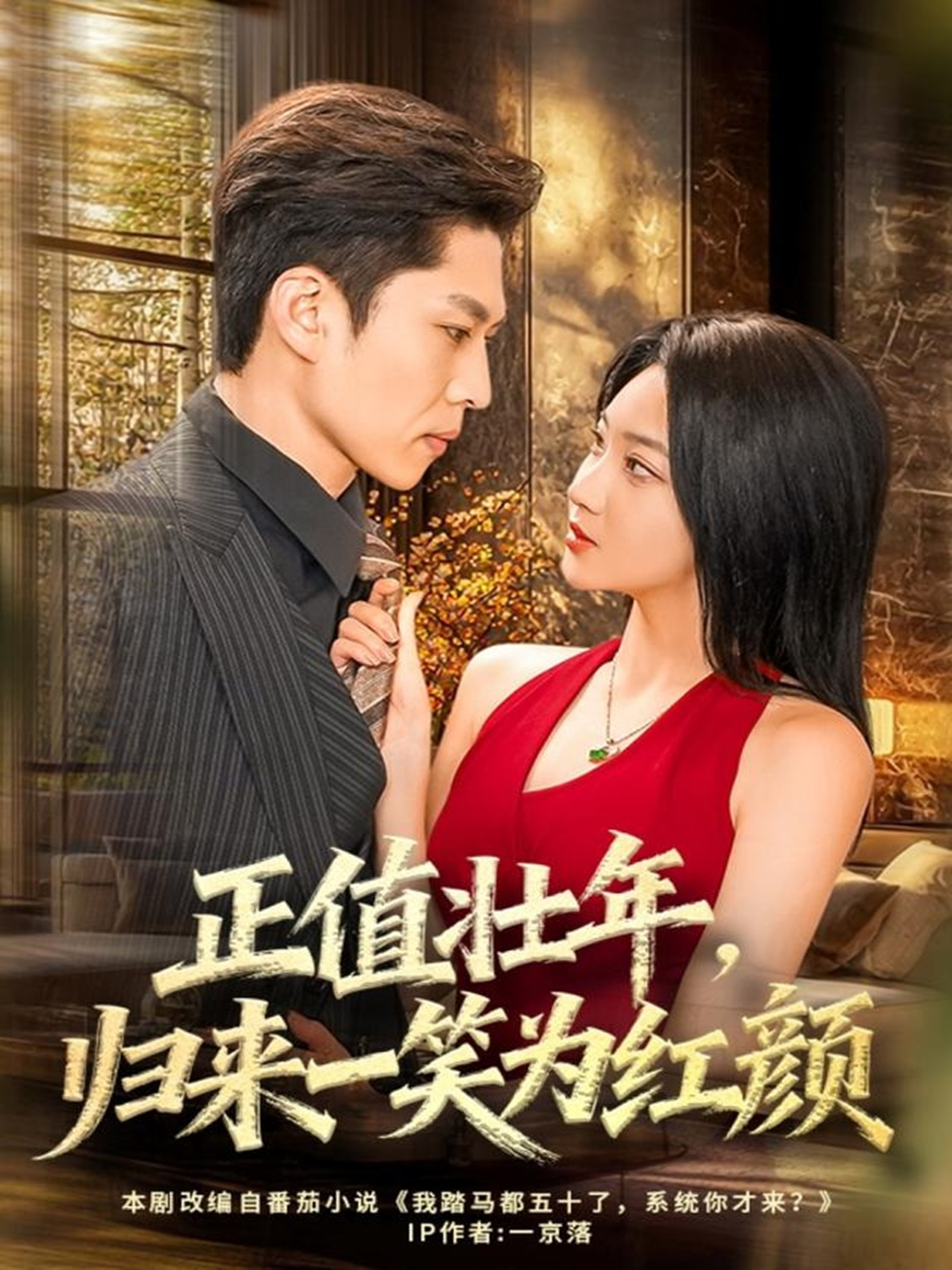 正值壮年，归来一笑为红颜(全集)
