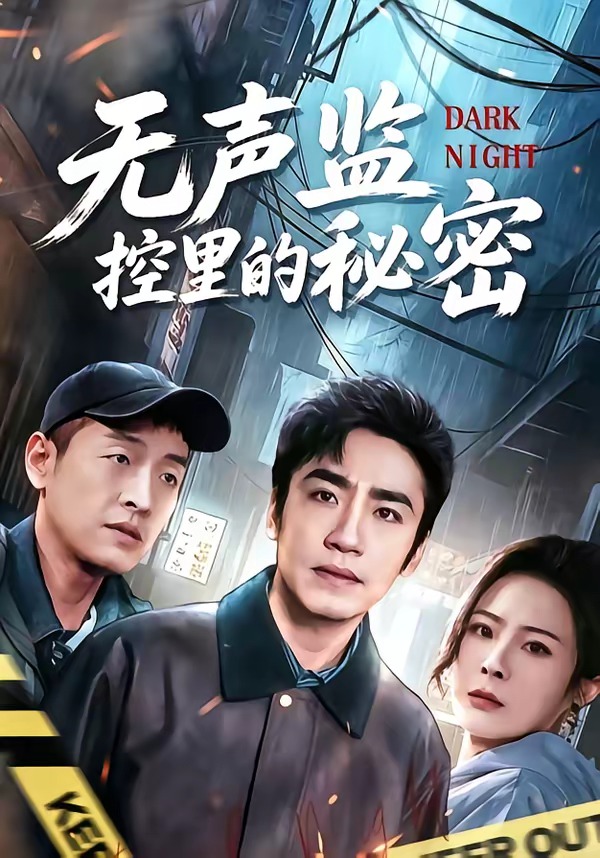 无声监控里的秘密(全集)