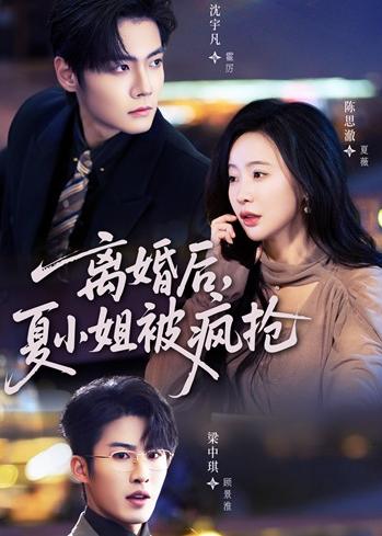 离婚后，夏小姐被疯抢(全集)
