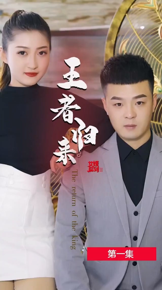 女婿驾到2王者归来 第01集
