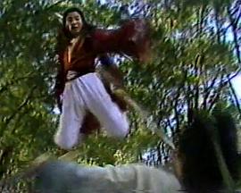 龙凤奇侠 第09集