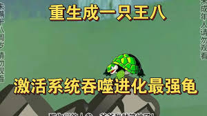 一只龟的进化史 全集(大结局)