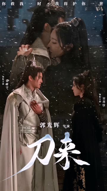 刀来 全集(大结局)