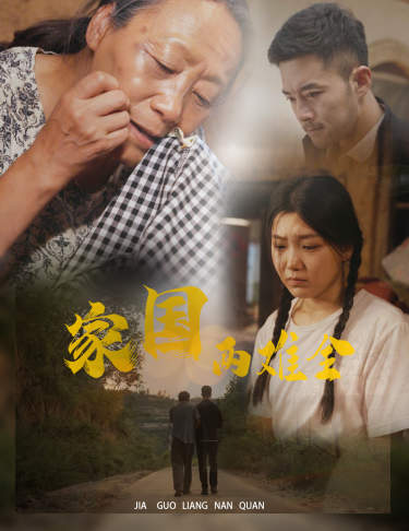 家国两难全自古忠孝两难全 全集(大结局)