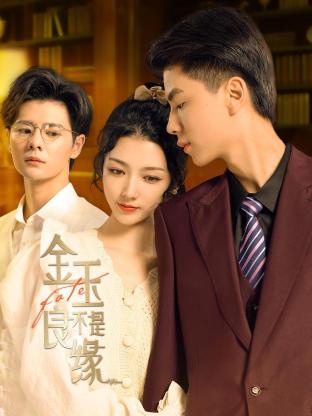 金玉不是良缘 第03集