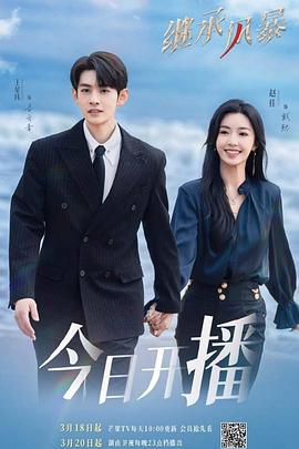 继承风暴 第03集