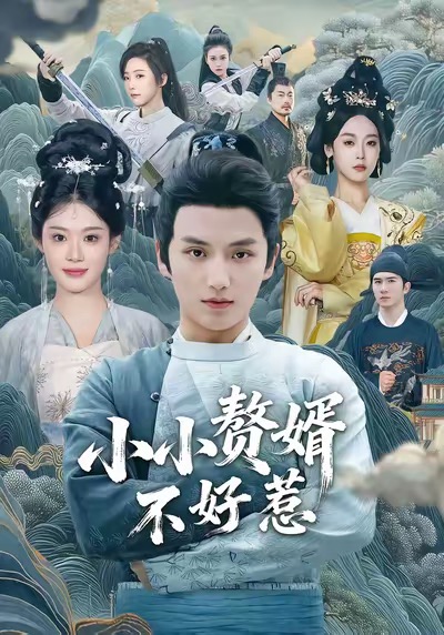 小小赘婿不好惹(全集)