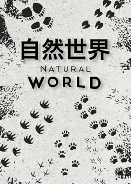 自然世界第一季(全集)